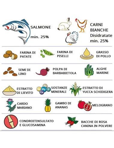 Infografica composizione Crocchette TOY Grain Free Salmone e Carni Bianche Dogbauer