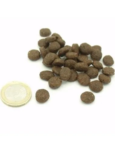 crocchetta Senza Cereali Puppy Pollo e Pesce Vs/ moneta da 1 euro