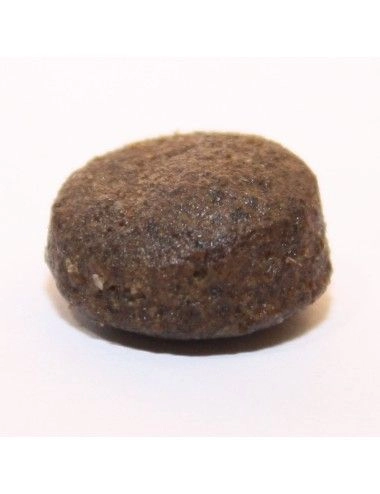 Sacco 9 Kg crocchette per cani senza cereali Dogbauer Aringa