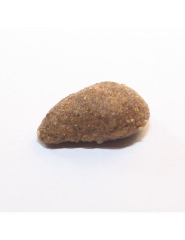 Sacco di croccantini monoproteici per gatto al cervo Dogbauer