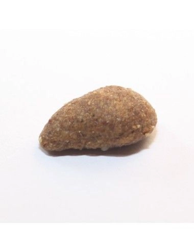 Sacco di croccantini monoproteici per gatto al cervo Dogbauer