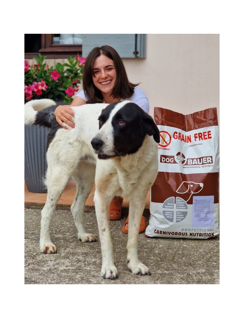 Cavallo e Patate Crocchette per cani senza cereali con Mela Melograno e Cardo Mariano