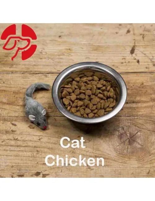 Cat Chicken
