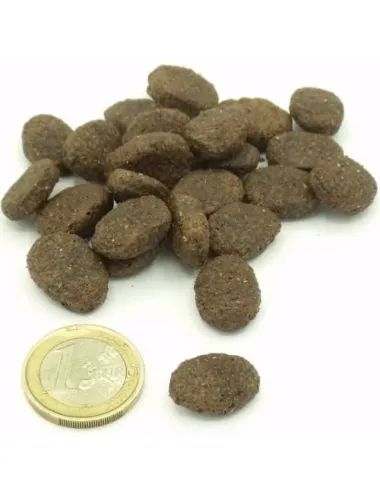Crocchetta Grain Free al Pesce e Bufalo Dogbauer Vs moneta da un euro