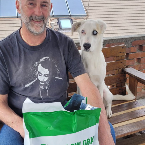 Ragazzo sorridente con il suo cucciolo Dog de Boedeaux e sacco di crocchette Dogbauer