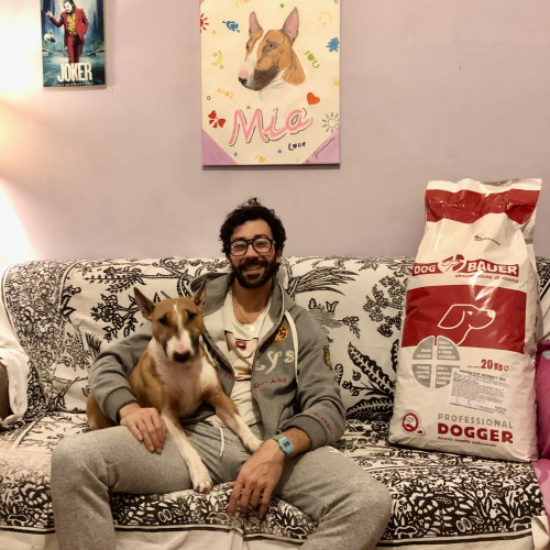 Signore sorridente sul divano con le crocchette Dogbauer per il suo Bull Terrier che tiene in braccio