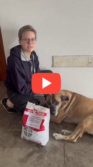 Ragazza con Bracco di Weimar Felici con le crocchette Dogbauer Low Grain